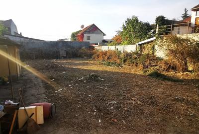 De vanzare casa Elisabetin- 724 - 16