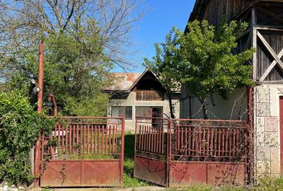 Casă cu 2 camere în Dobroteasa