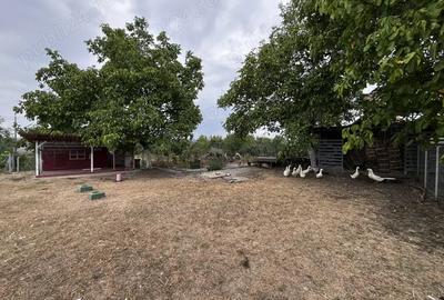 Caminul ideal pentru o familie care vrea sa respire lini?te? - 9