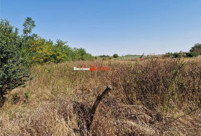 Teren de 1773 mp, în Toboliu - 2
