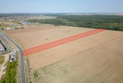 Teren Vanzare Intravilan Branesti - Investitie Zona Industriala Vis a Vis Makita - 7