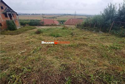 Teren de 1236 mp, în Petreu - 4
