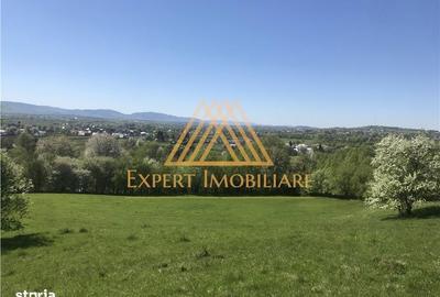 Teren de 10000 mp, în Horodnic - 3