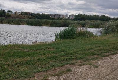Teren Construcții intravilan de 10000 mp, în Balotești - 4