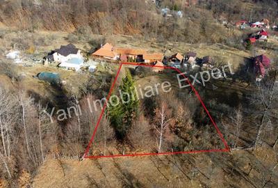 Teren în Cicănești - 2