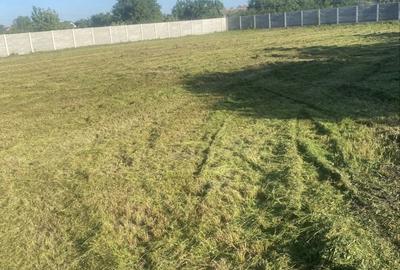 Spațiu comercial, în Parța - 8