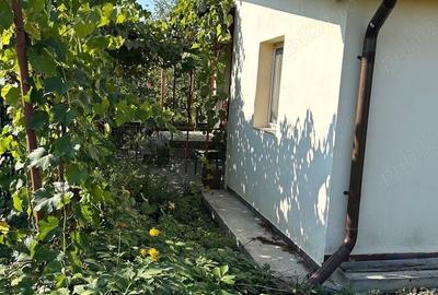 Casă cu 2 camere în Valea - 8
