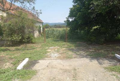 Ocazie, merita -Proprietar vand casa cu gradina in Chelmac , str.Principala, nr.80 - 5