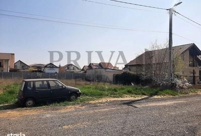 Spațiu comercial, în Moșnița Nouă - 3