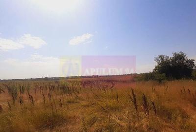 Teren pentru casa/case in Brane?ti pe strada Topora?i - 14