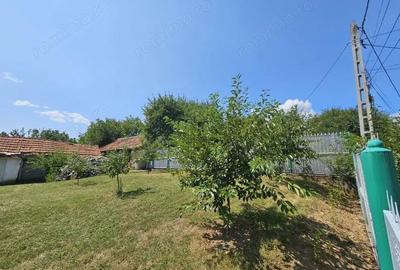 Vanzare teren intravilan, 1.202 mp, situat in comuna Runcu, sat Dobri?a - 3