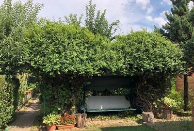Casă cu 7 camere cu Teren 1100 Mp în Soarelui - 2