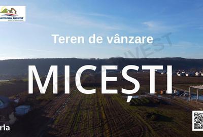 Spațiu comercial, în Mărăcineni - 10