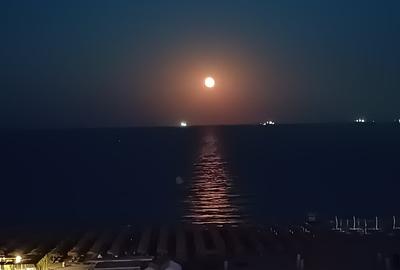 Vand apart cu vedere frontala la mare - 5
