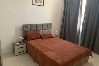 Apartament cu 2 camere semidecomandat, mobilat în Viilor - 4