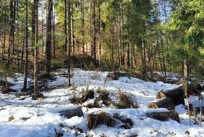 Teren de 835 mp, în Furnica