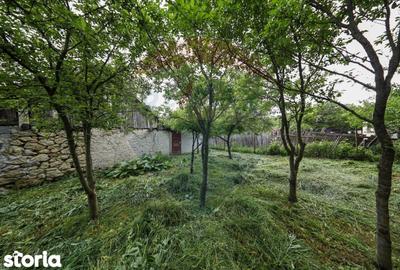 Casă cu 5 camere cu Teren 396 Mp în Nord - 2