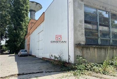Spațiu comercial, de 15,000 mp, în Jilava - 3