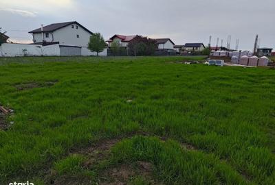 Spațiu comercial, în Brănești - 10