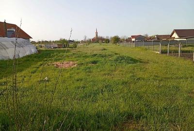 Casă cu 4 camere în Iosif - 4