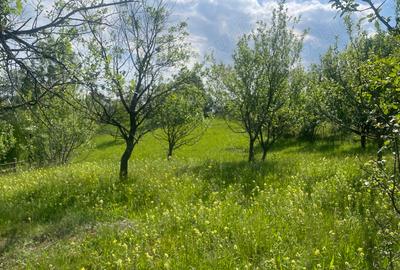 Teren de 5000 mp, în Schiulești - 2