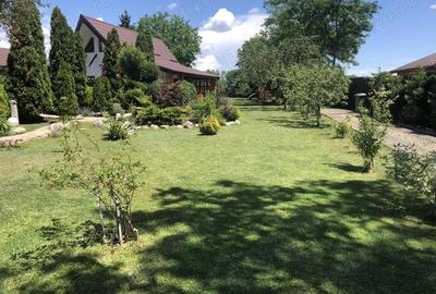 Casă cu 1 camere cu Teren 2859 Mp în Siliștea Snagovului - 4