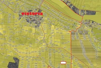 Teren AGRICOL categoria A- com Nufaru sat Victoria - 10