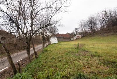 RECO Casa de vacanta la Holod- langa padure- teren 2190mp - 31