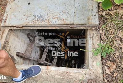 Spațiu comercial, în Tomești - 3