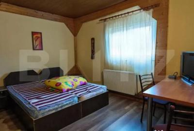 Casă cu 7 camere cu Teren 3800 Mp în Glăjărie - 17