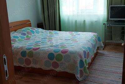 Apartament cu 2 camere semidecomandat în Ozana - 5