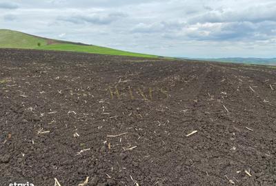 Teren de 10200 mp, în Budești - 7