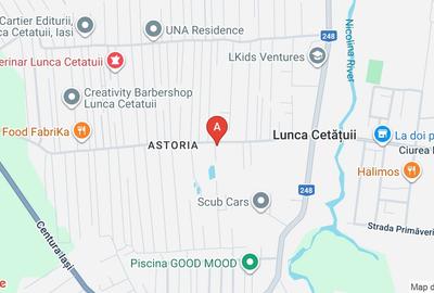Casa mobilata Lunca Cetatuii - 1