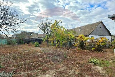 Casă cu 2 camere cu Canalizare în Vladimirescu - 5