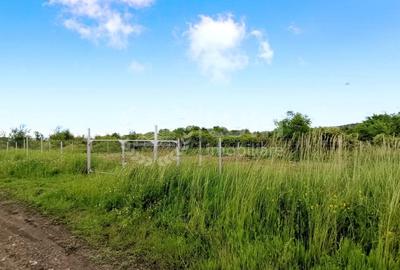 Teren Construcții intravilan de 700 mp, în Bună Ziua - 1