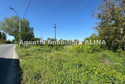 Teren de 941 mp, în Criș - 6