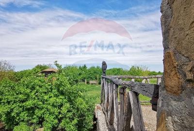 Vanzare Casa-Conac boieresc stil Baroc cu teren in Stoenesti, jud Olt - 1