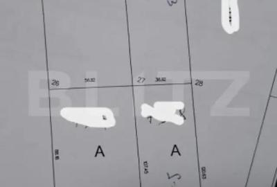 Teren de 10000 mp, în Nufărul - 5