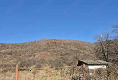 Teren de 3000 mp, în Aninoasa - 5