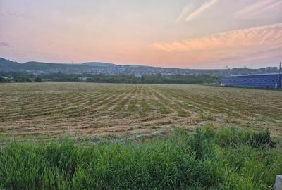 Teren intravilan de vanzare Calea Baciului 5.000 mp - 1