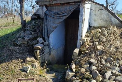 Casă individuală cu 5 camere cu Teren 1500 Mp în Ianoșda - 7