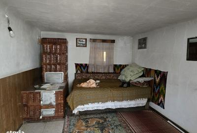 Casă cu 7 camere cu Teren 4500 Mp în Hotarele - 10