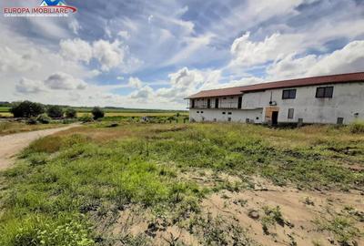 Teren intravilan de loc.Murighiol Jud.Tulcea - 12