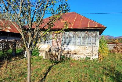 TEREN INTRAVILAN ȘI EXTRAVILAN POLOVRAGI-RACOVIȚA - 4