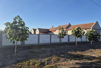 Casa cu teren generos de vanzare, Varia?, jud.Timi? - 4