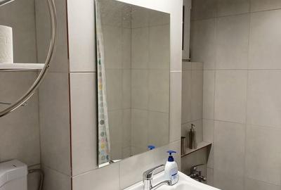 Apartament cu 2 camere semidecomandat în Mănăștur - 2