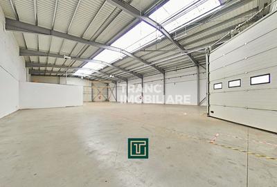 Spațiu industrial, în Sud - 3