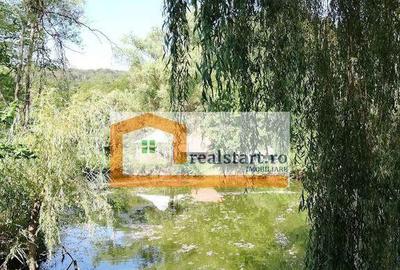 Centru Evenimente, Afacere la cheie, Restaurant cu MiniPe... Centru Evenimente, Afacere la cheie, Restaurant cu MiniPe... - 29