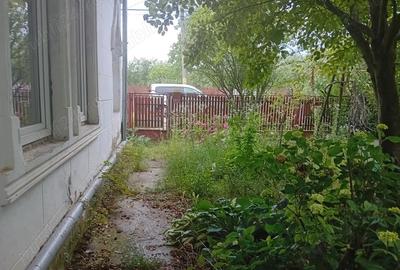 Casa de Inchiriat in zona Tintea - 4