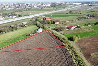 Teren de 5000 mp in Satu Mare | Oportunitatea Perfecta pentru Casa Visurilor Tale | Proiect Imobilia - 8